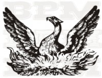 /album/fotogaleria-vtaky/vtaky-34-jpg/